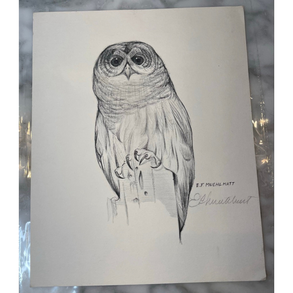 E.F. Muehlmatt Other - E.F. Muehlmatt Signed Barred Owl Print 8x10 Pencil Signature Wildlife Art